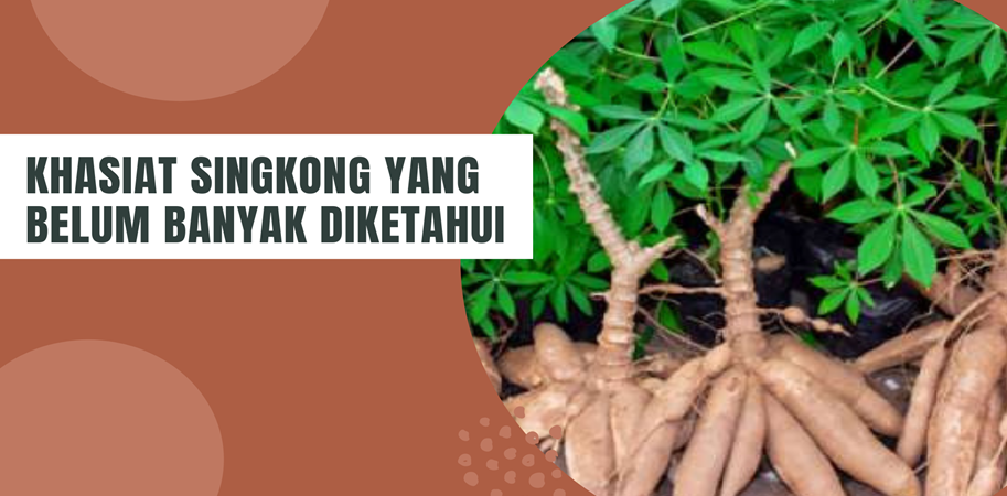 Khasiat Singkong yang Belum Banyak Diketahui